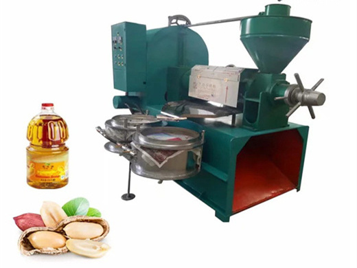 easy to use oil mill machinery mustard pressing oil in Pakistan