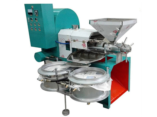 good automatic stainless steel cold oil press machine big