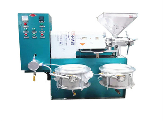factory cheap price peanut oil press equipment in cameroon