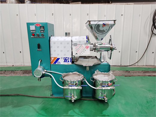 factory fully automatic seeds ginger oil extraction