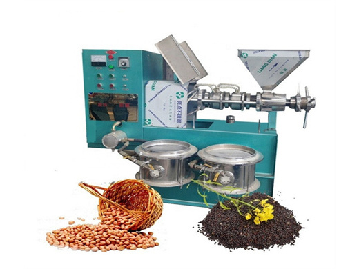 automatic cold palm fruit oil press | edible oil machinery