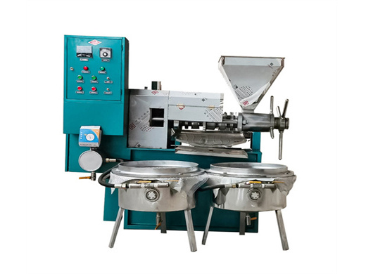 high oil yield hydraulic oil press machine 250 model