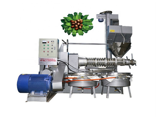 multifunctional automatic peanut oil making machine