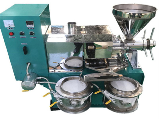 palm kernel oil production line - seed oil press