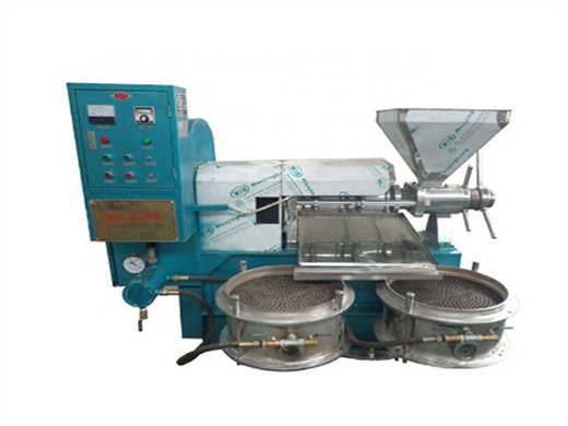 screw oil press machine ghymachinery