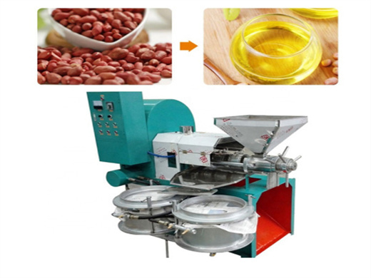 automatic peanut oil press seed oil press machine (6yl 180)