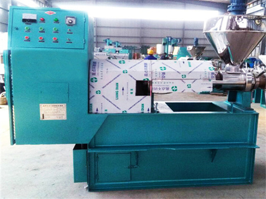 production processes of palm oil mill-oil press machinery