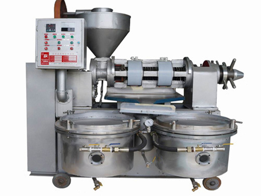 hsm manufacture iso ce automatic screw oil press machine