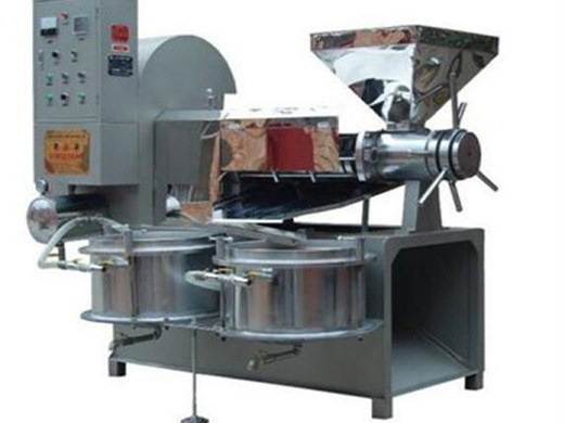 stainless steel palm kernel oil expeller machine