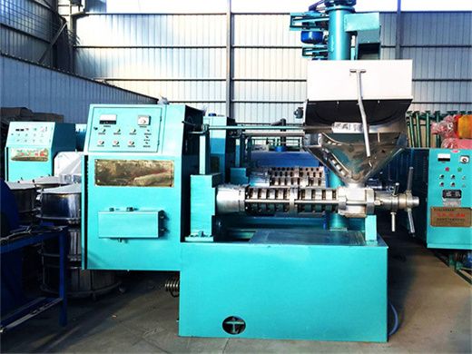 automatic soybean canola cold press oil machine/oilve