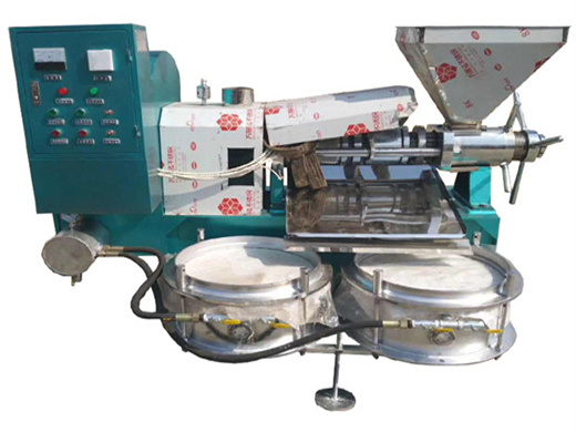 soybean processing equipment/walnut oil production machine