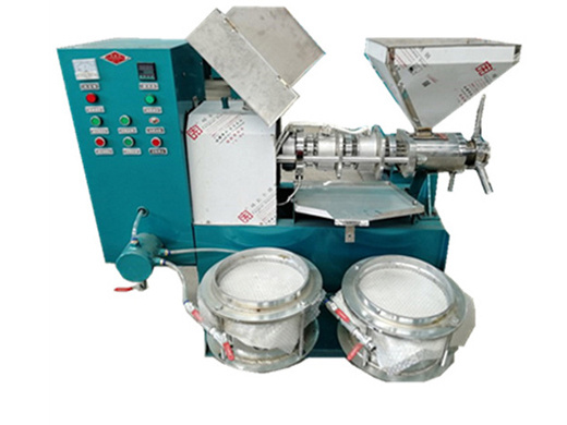 all stainless steel oil press machine commercial home oil