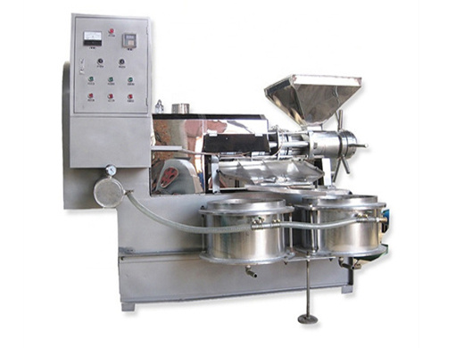 china automatic peanut oil press machine china oil