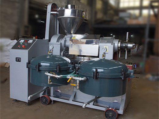 china oil press machine/oil extraction pressing machine