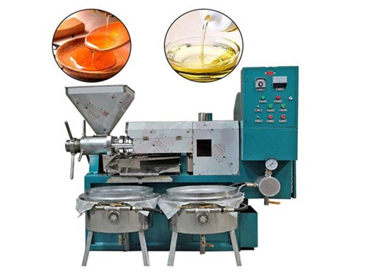 zy202-3 screw oil expeller - palm oil mill machine leading