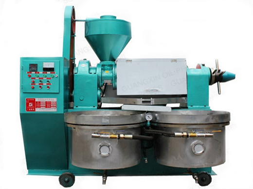 automatic hydraulic oil press/oil press machine