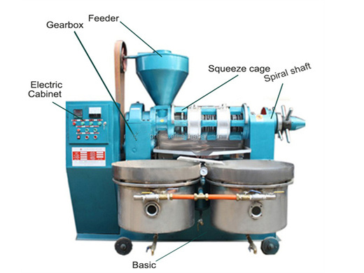 china automatic sesame peanut almond screw oil press mill