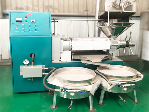 sunflower seed seed oil extraction machine cold oil press