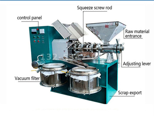 small single screw oil press machine at factory price