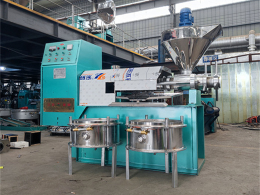 manufacture sunflower oil extraction machine/ oil presser