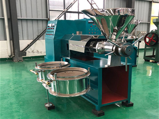 large commercial use oil press machine oil mill machinery