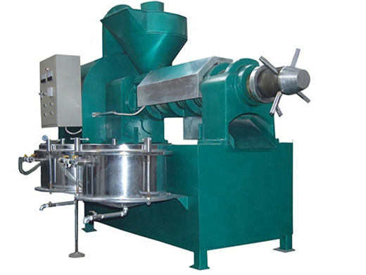 stainless steel automatic cold press oil machine, oil cold