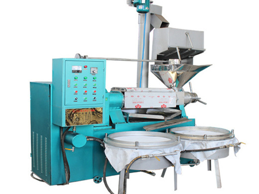 high output hot sale sunflower oil extract machine