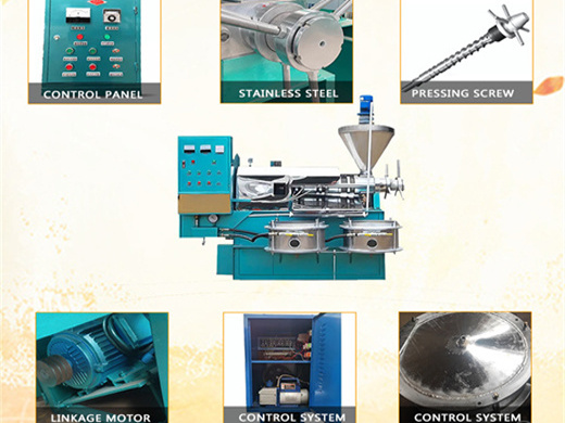 manufacturer of oil seed extractor and palm oil oil mill