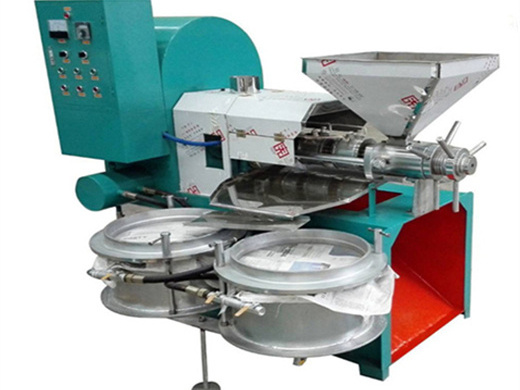 castor oil production machinery cost process