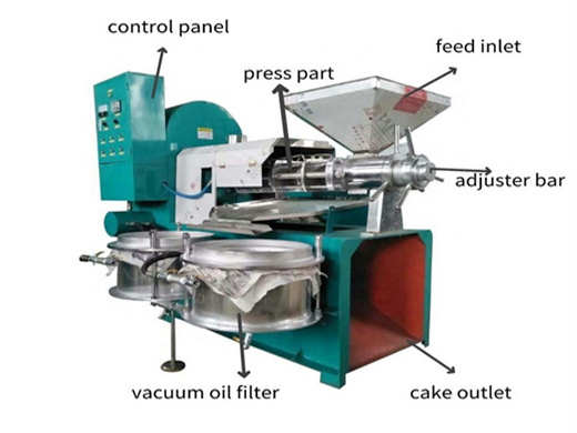 soybeans oil processing machine/jatropha seeds oil press