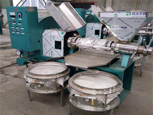 china screw oil press machine/automatic cold press oil