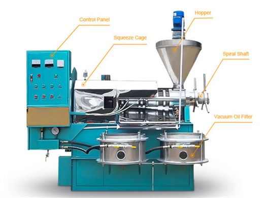 automatic groundnut peanut oil press production line
