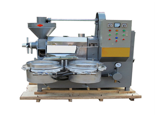 china screw type peanut oil press machine with best