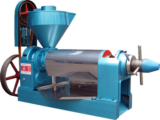 popular edible oil extracting machine moringa oil press