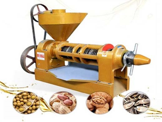 walnut oil press machine 6yl vegetable oil production line