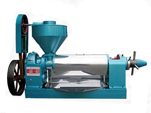 small scale niger seed oil extraction machine set
