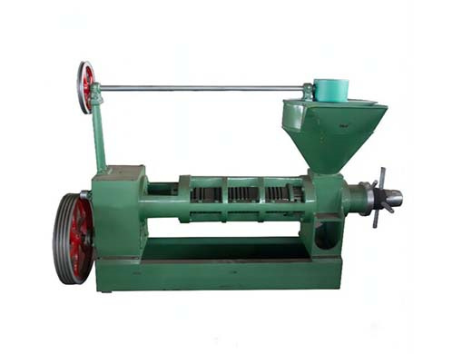 castor seed oil press machine
