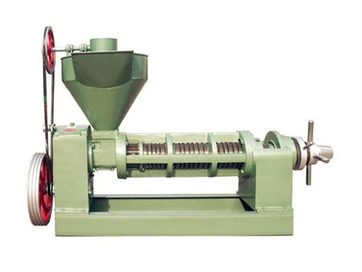 china cold oil press oil extractor oil mill oil processing