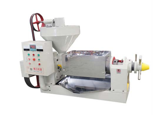 automatic oil press machine 300w oil extractor nut