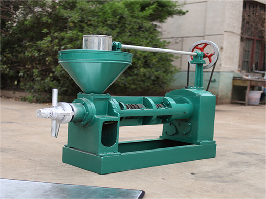 professional soybean oil press machine for sale