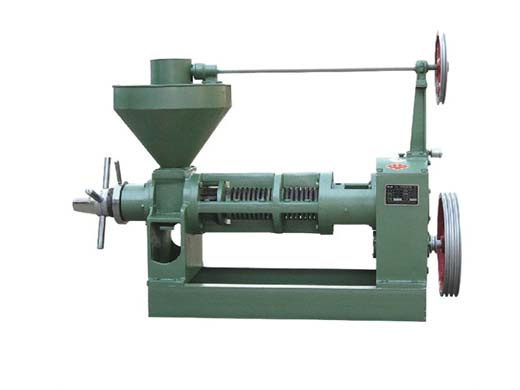 hot sale small oil screw press machine 6yl type for home