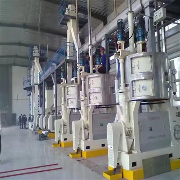 automatic excellent quality canola oil mill machine