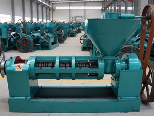 china 6yl-68 sunflower canola soybean oil extruder