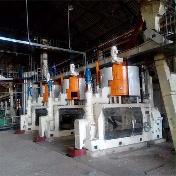 seeds oil press production line screw oil in zimbabwe