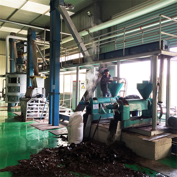 2023 hot groundnut oil processing machine