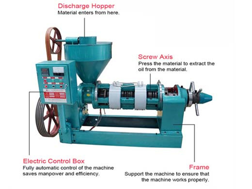shea nuts oilseeds pressing machine manufacturer