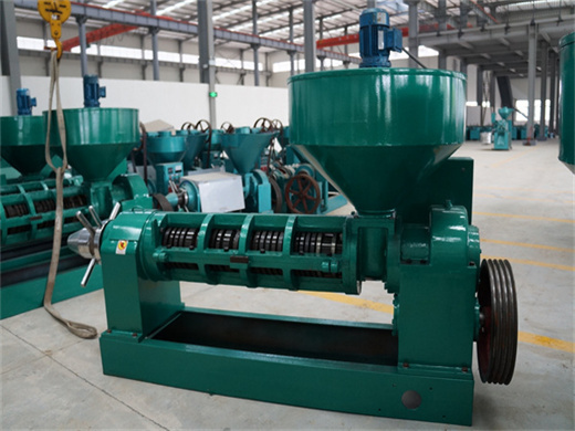 high efficiency automatic hydraulic oil press machine 2023