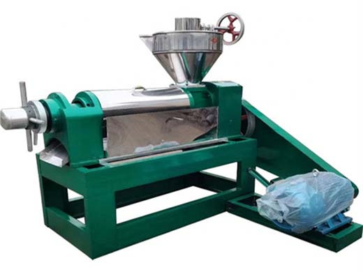 top quality automatic soybean peanut oil press machine