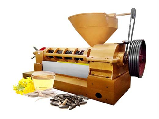 china sunflower seeds oil production line oil press