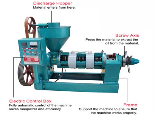 large screw oil press machine working video